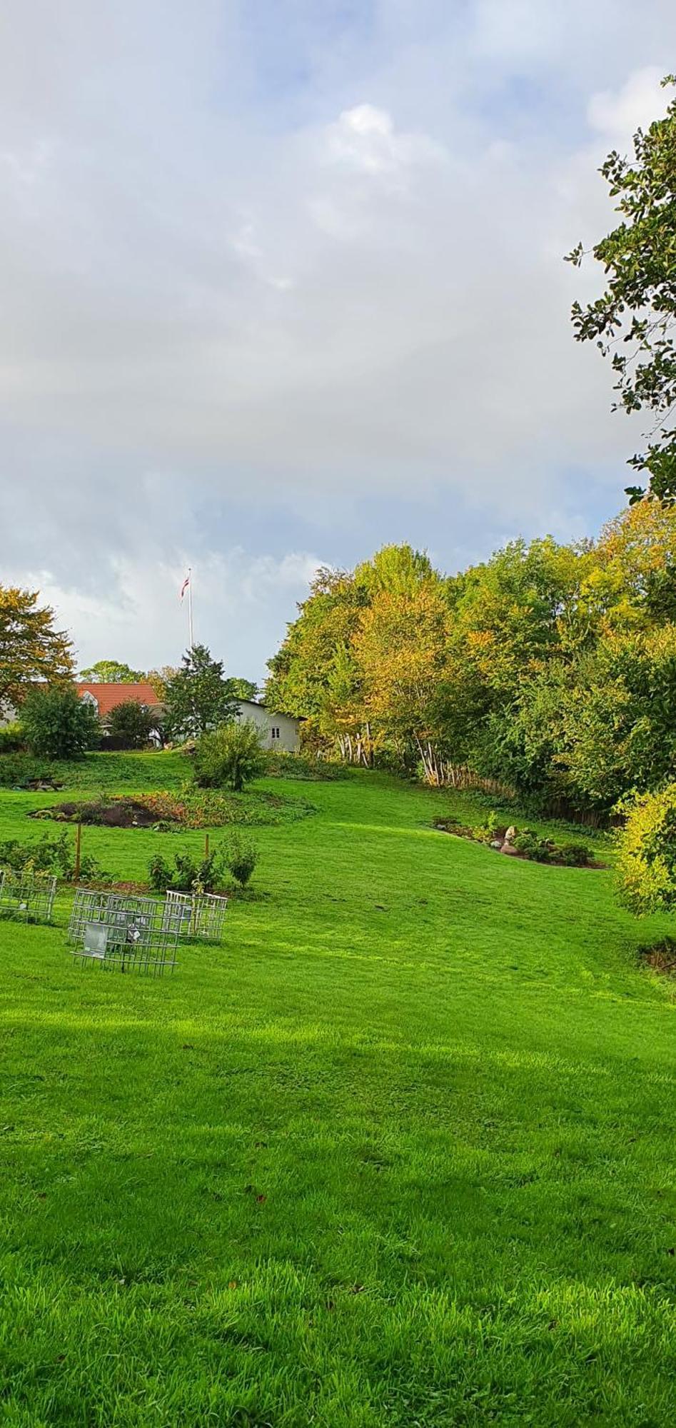 Bed and Breakfast Hos Molsgaarden Knebel Exterior foto