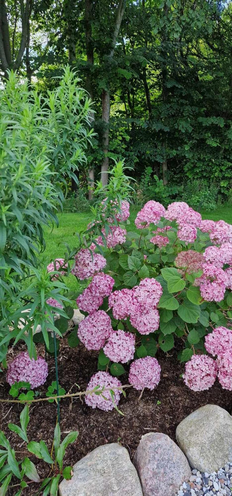 Bed and Breakfast Hos Molsgaarden Knebel Exterior foto